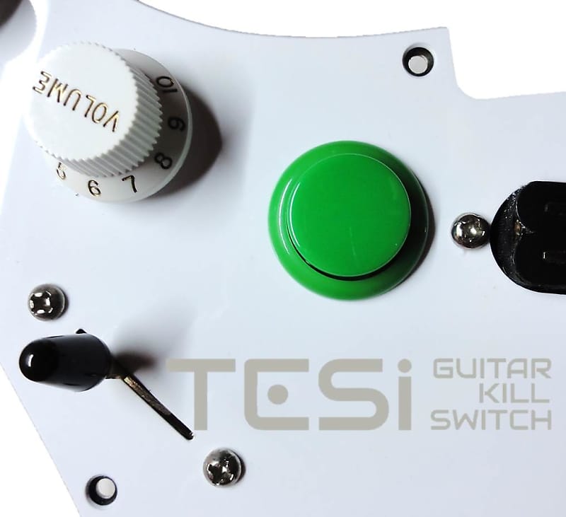 Tesi DITO Solid 24mm Kill Switch (Select Color) – The Guitar Parts