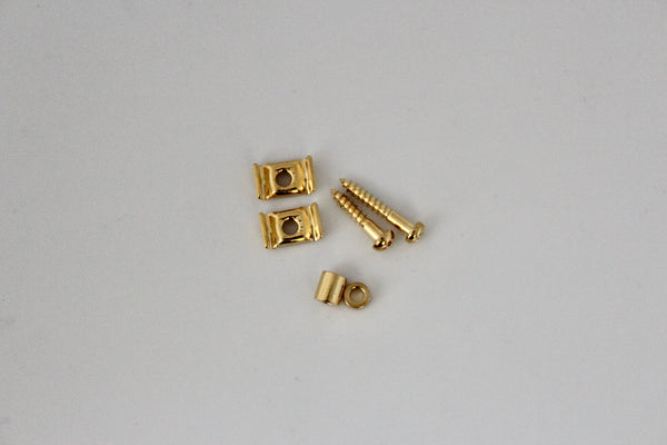 Guitar String Retainers, set of 2 - Gold